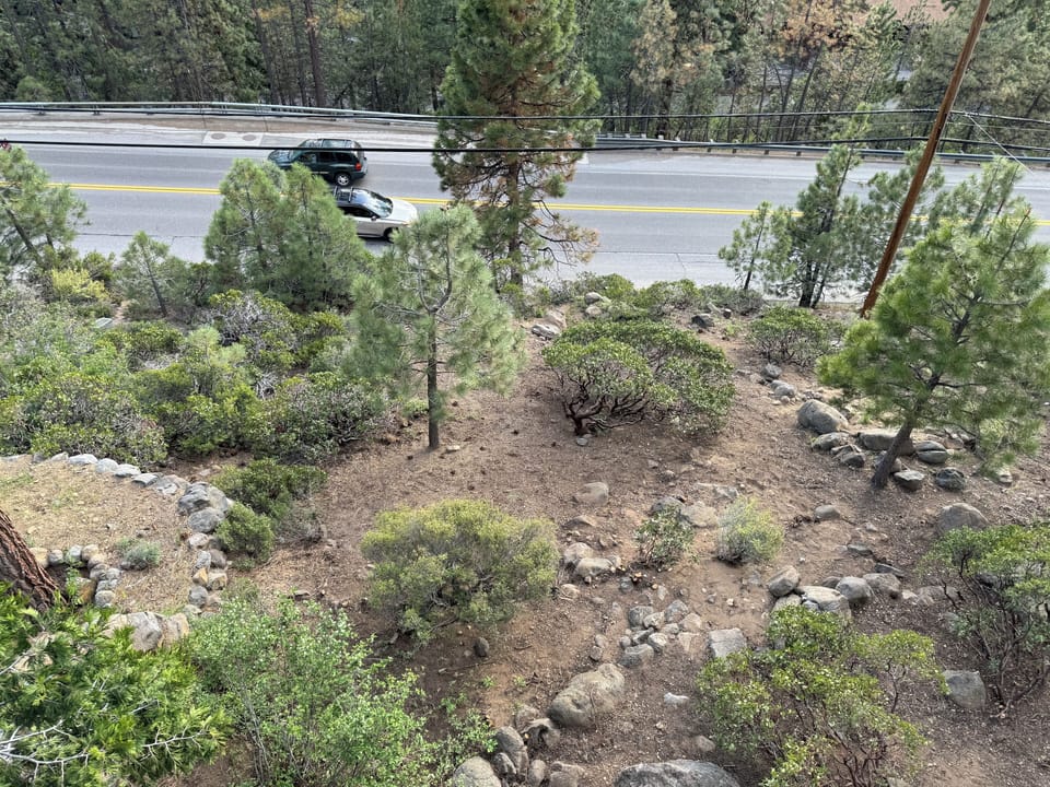 Lower garden on slope above Tahoe Blvd