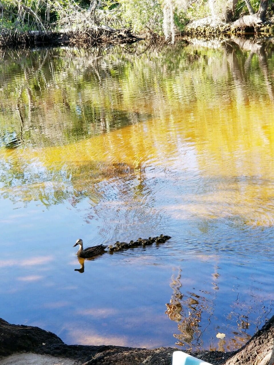 Lake