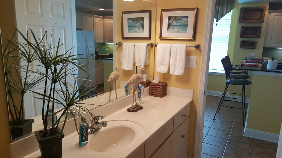 Guest Bathroom - Reverse View