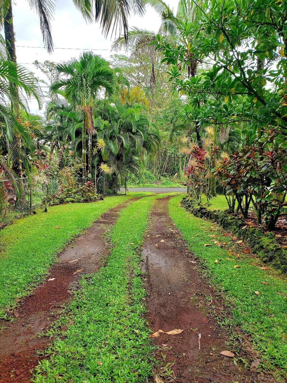 Driveway out to the street