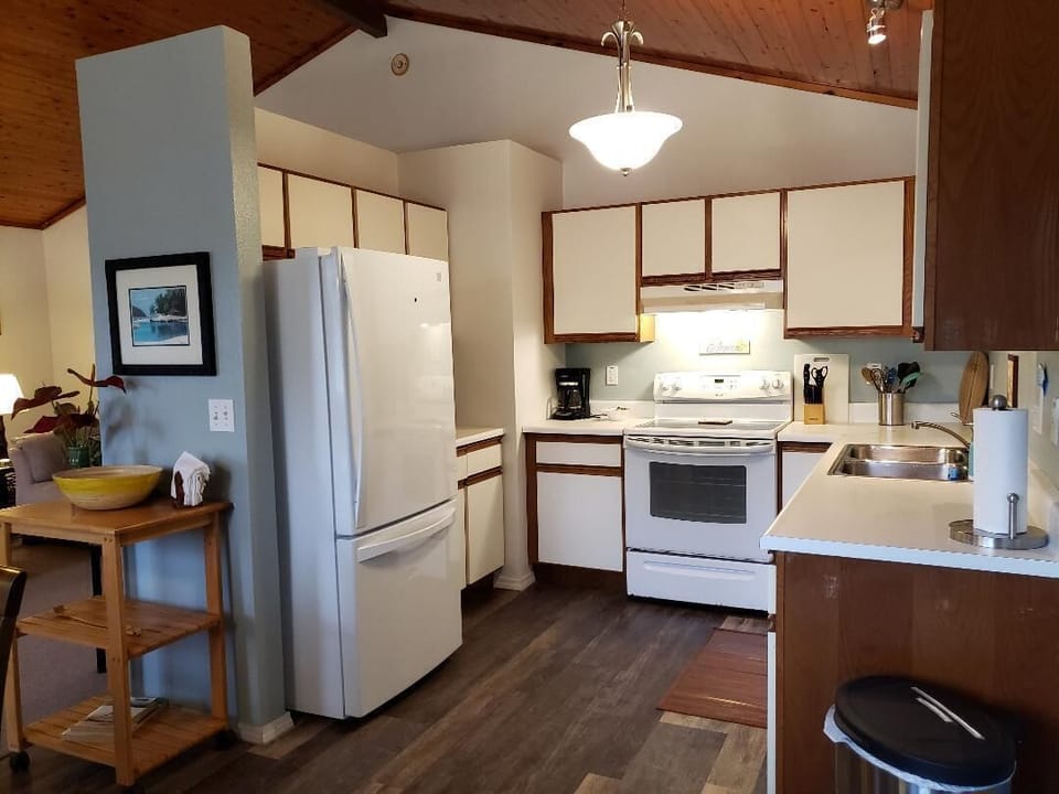 Kitchen with brand new fridge and flooring