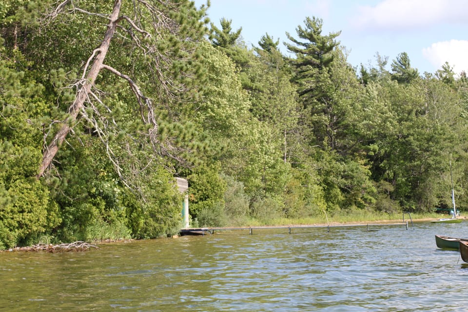 A view from the water. Lots of trees, not many houses.