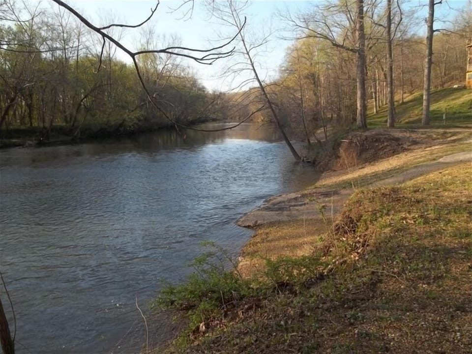 View up the river below the cabin.