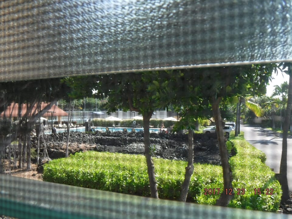 Pool view from king bedroom. 