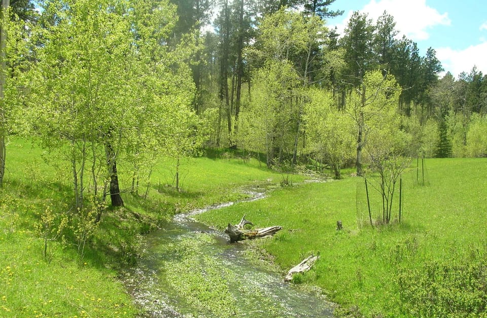 Little Elk Creek lined with aspens runs through the five-acre property.