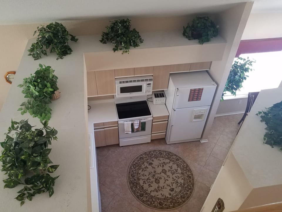 Area view of kitchen