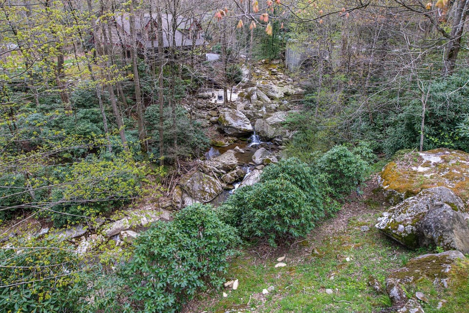 View from deck down to the river.