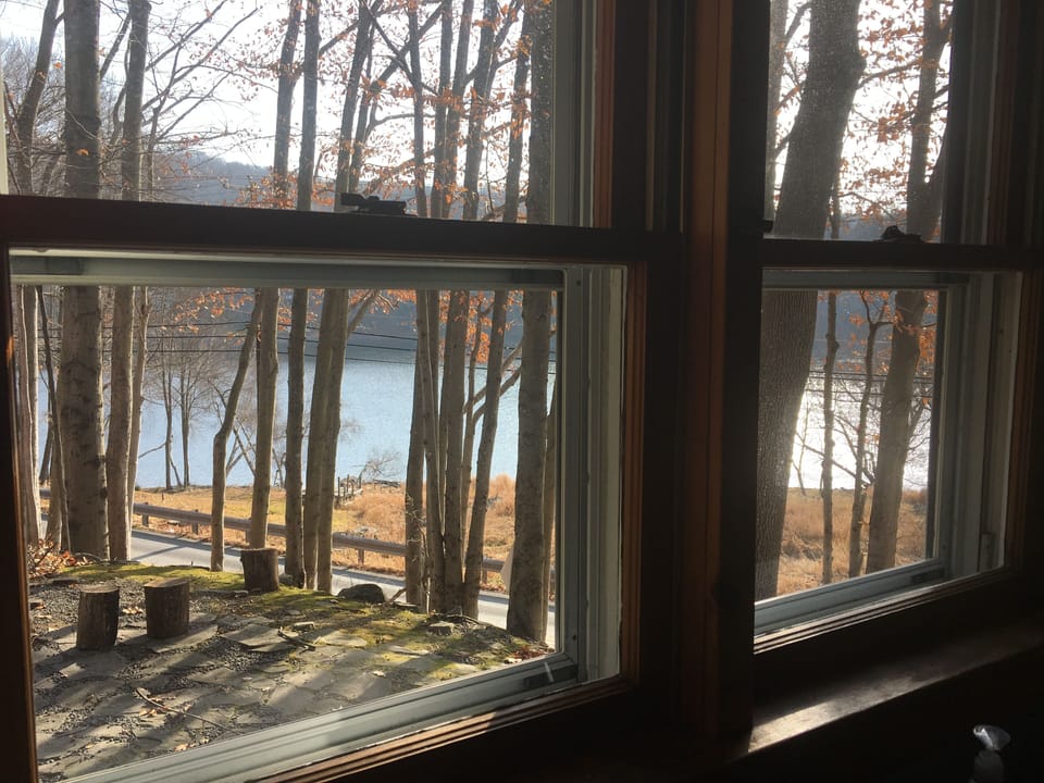 View from Living Room side windows