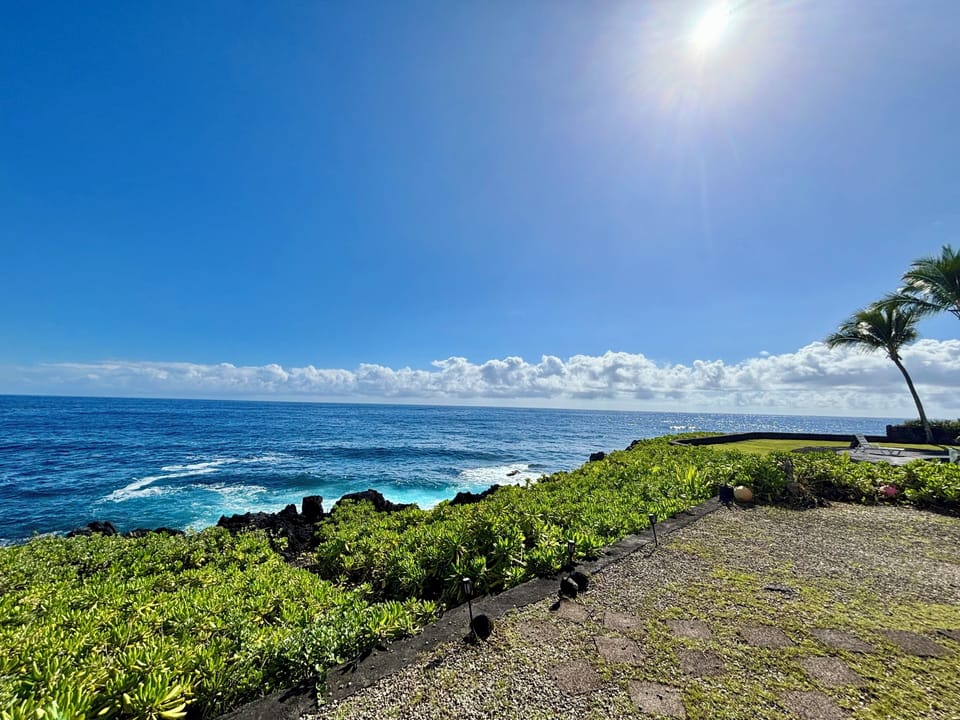 During December-April, you might see whales passing in front of the house.