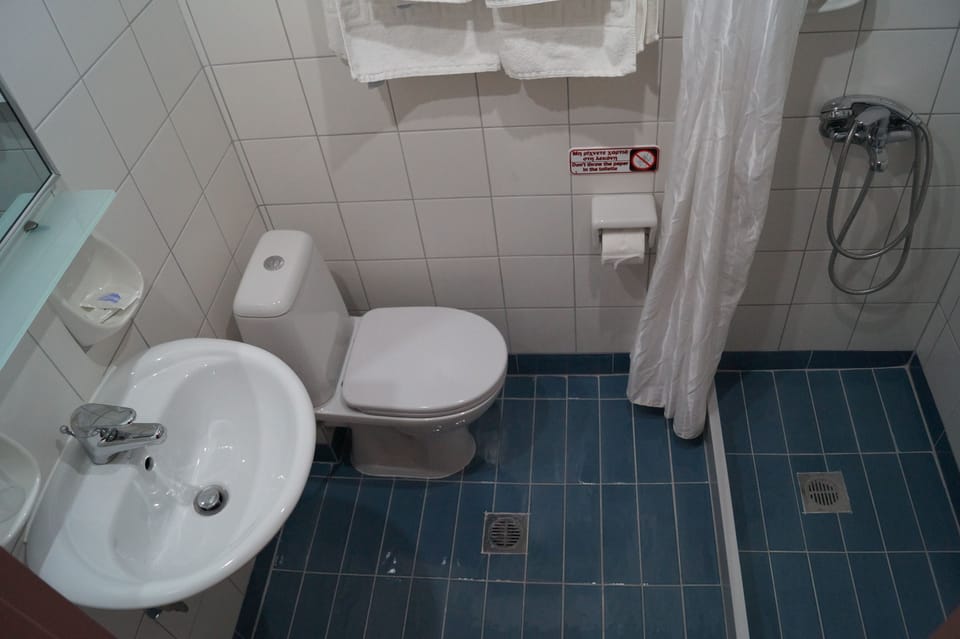 Double Room | Bathroom | Shower, free toiletries, hair dryer, towels