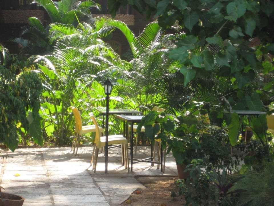 Sea Breeze Beach Hotel in Calangute