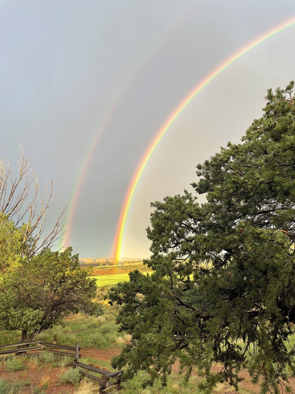Rainbows from a summer evening storm.