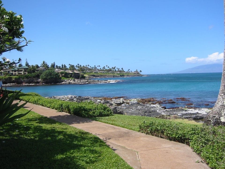 View from the point 