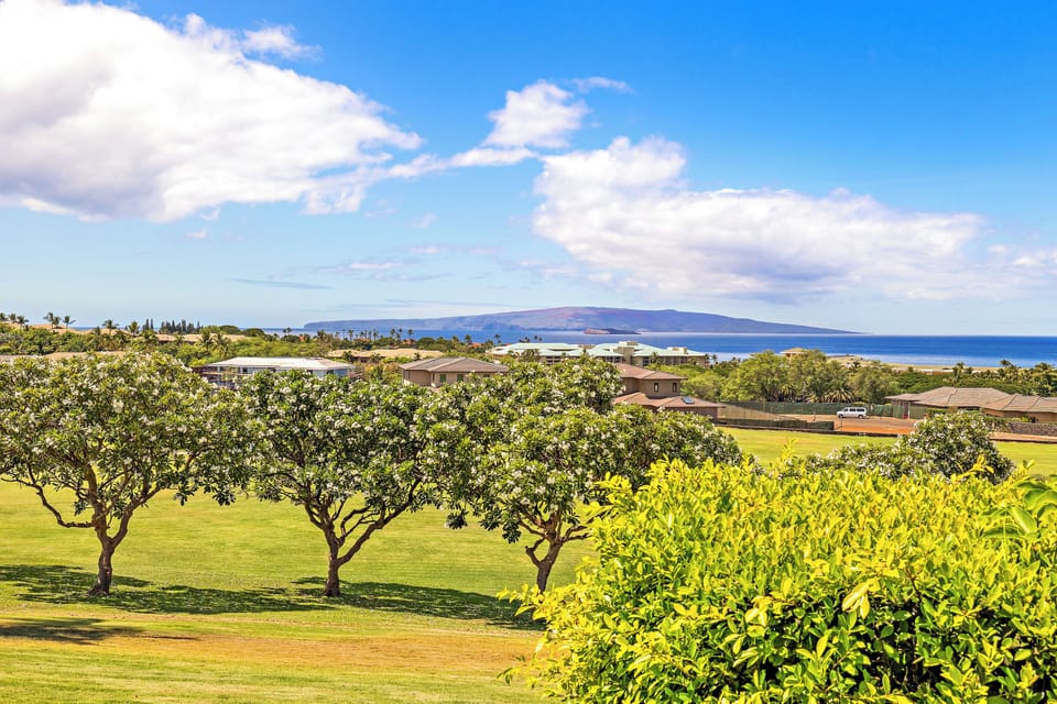 Lanai View