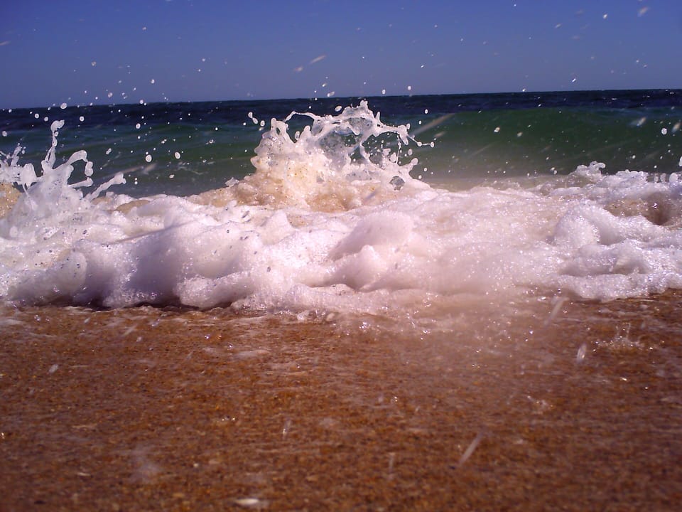 Water's edge..