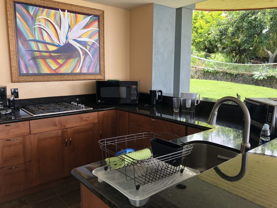 Everything you need in the outdoor kitchen.