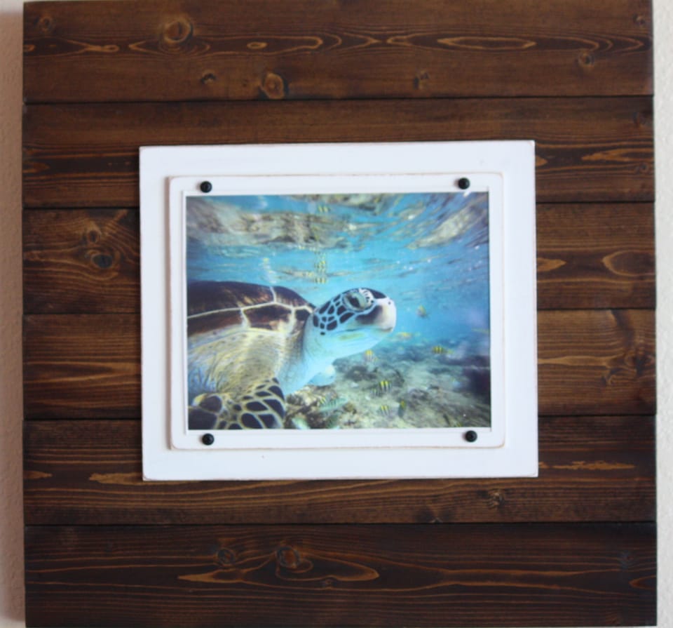 Welcome to our  Honu Hana!