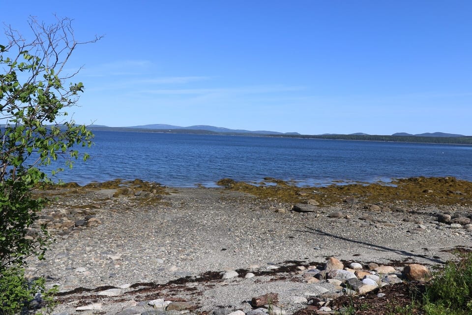 Beach area at low tide