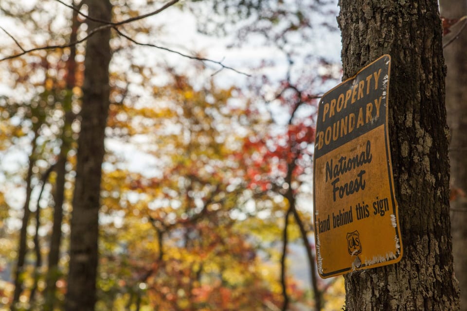 Directly bordering Pisgah National Forest! Endless trail options nearby.