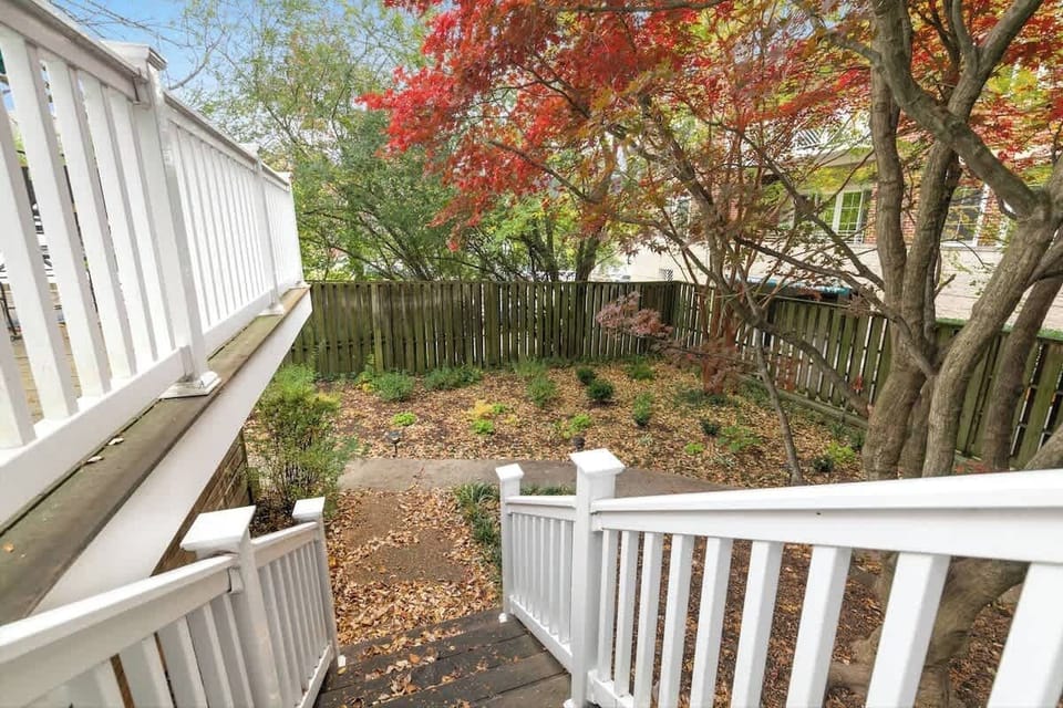 Stairs to Back Yard
