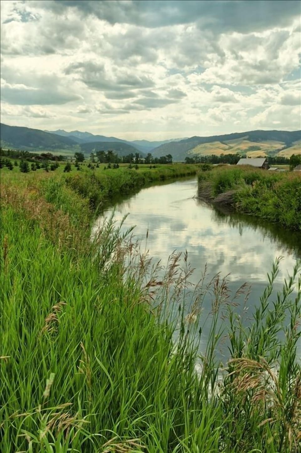 Irrigation Canal adjacent to Aspen Grove (sorry no fish!)