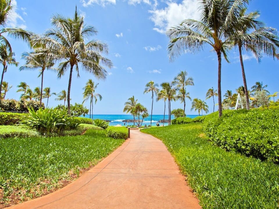 Quiet walks along the paths allow you to view the aqua blue waters