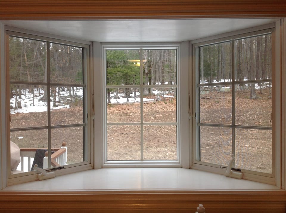 The back yard is wooded and undeveloped for a refreshing time washing dishes.