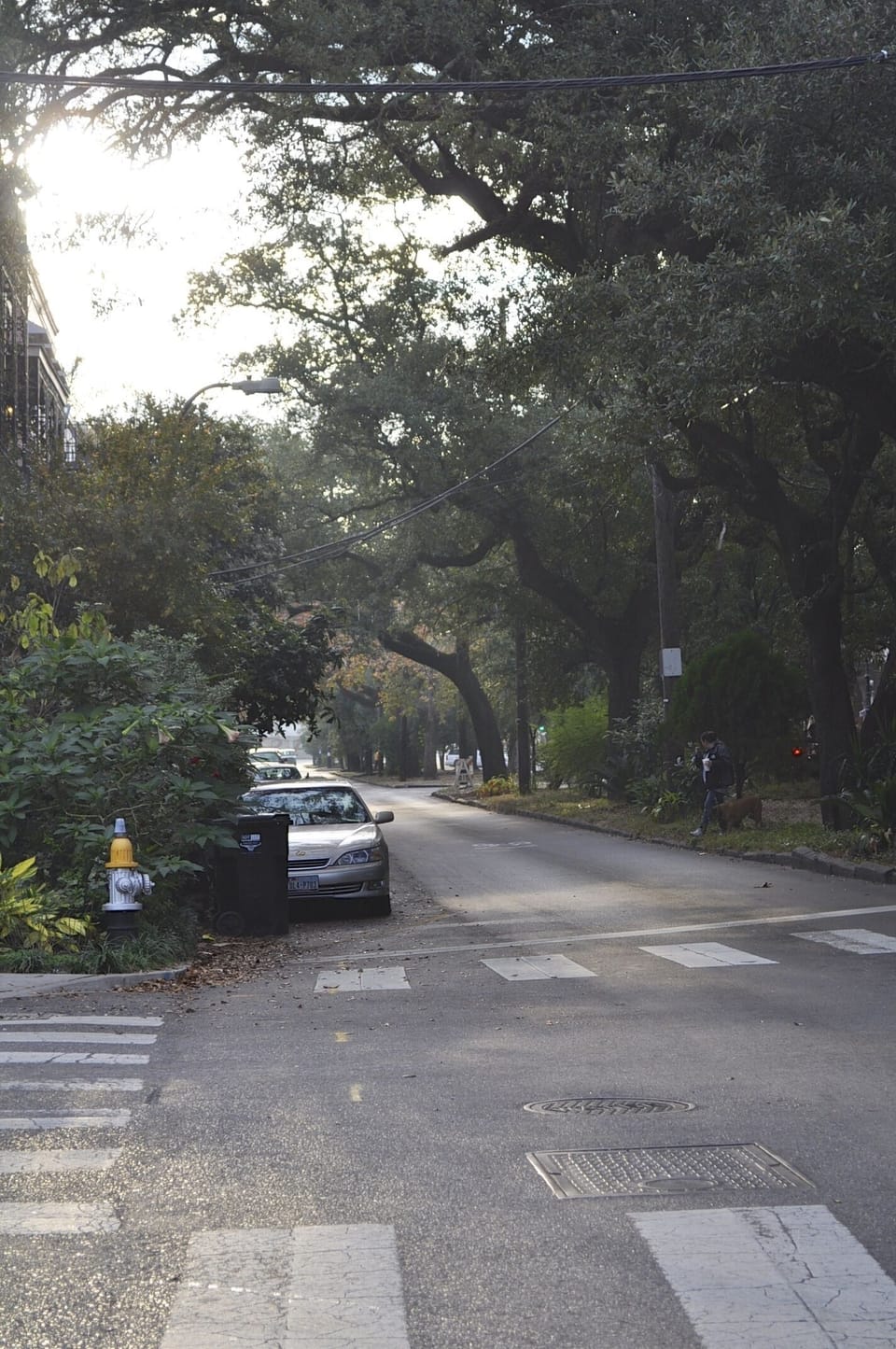 Esplanade Ave., a residential street secluded from the bustle of the Quarter.