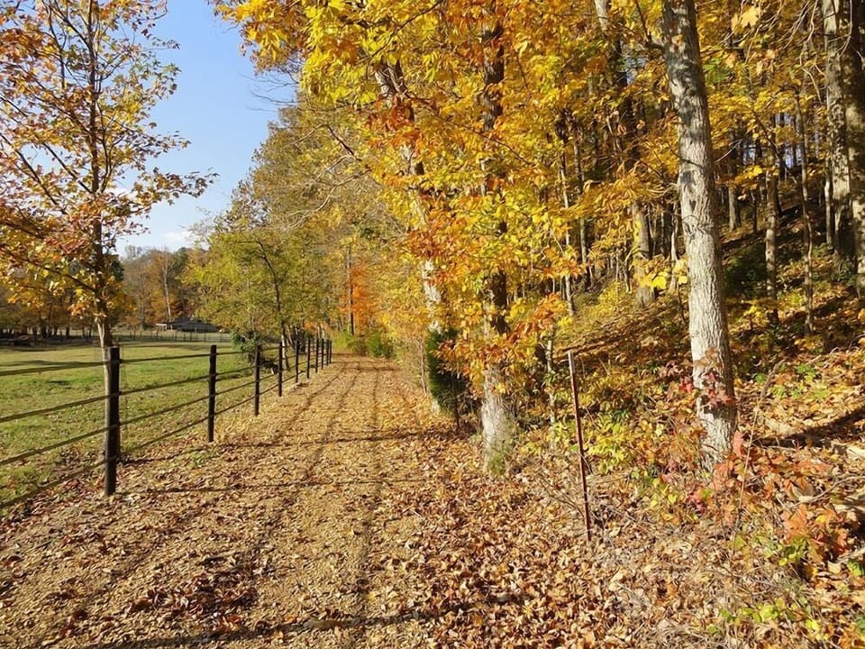 Five miles of trails cover the property.