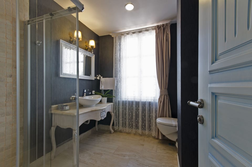 Deluxe Room | Bathroom | Shower, free toiletries, hair dryer, slippers