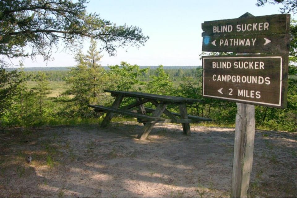 Blind Sucker Pathway makes for a great dayhike
