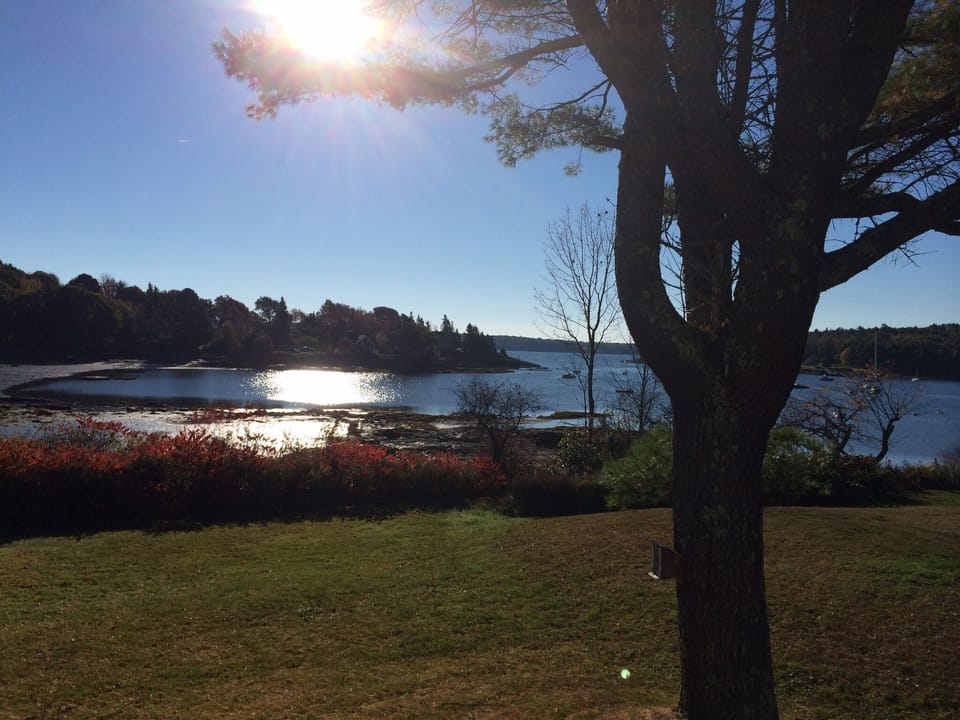 View from patio in fall