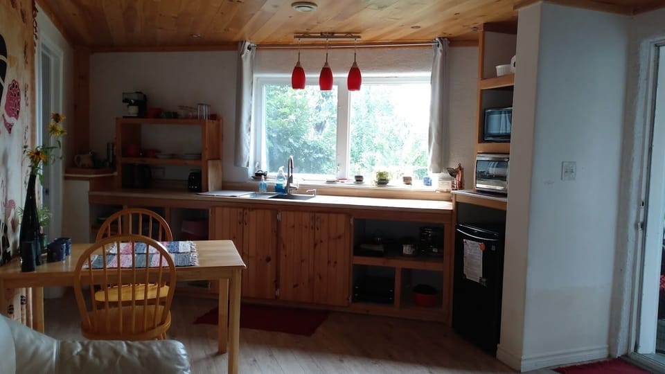 Convection Oven, Microwave, induction plates, espresso machine, French Press etc