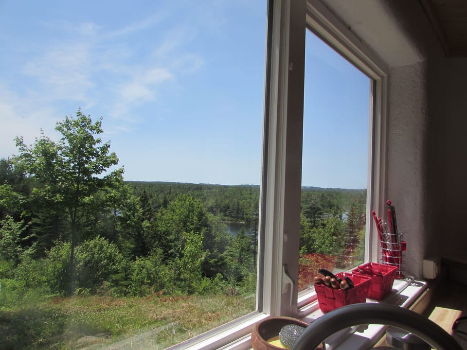 View from the kitchen window