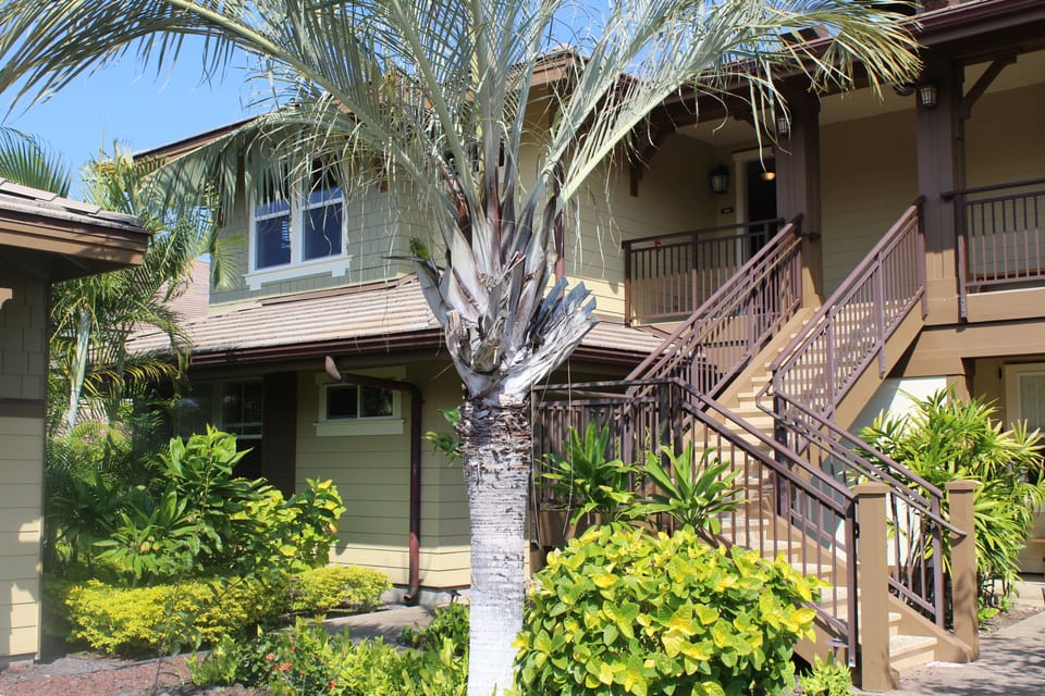 Second floor front entry of 22A