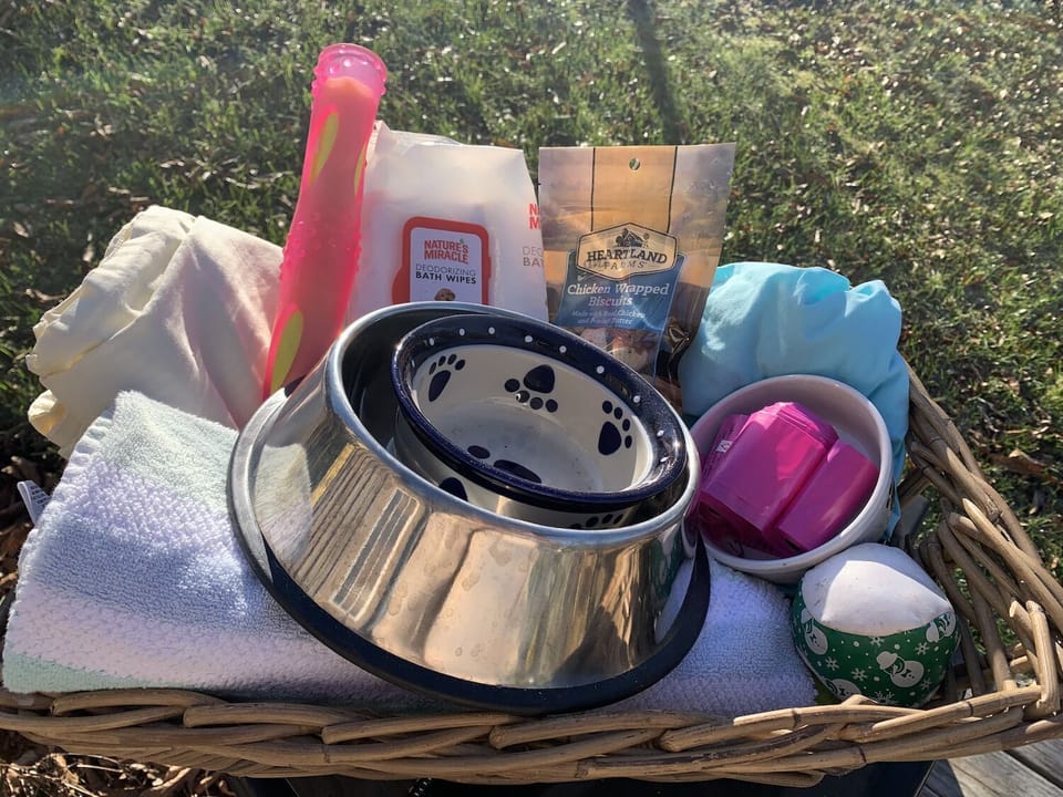 Welcome basket for our furry pals.