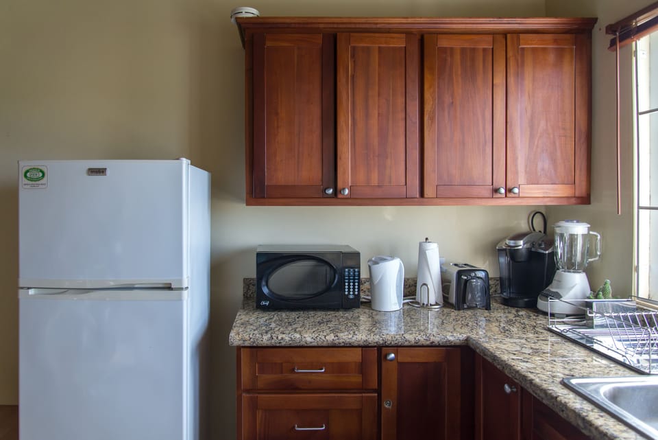 Basic Loft | Private kitchen | Coffee/tea maker, full-size fridge, microwave, oven