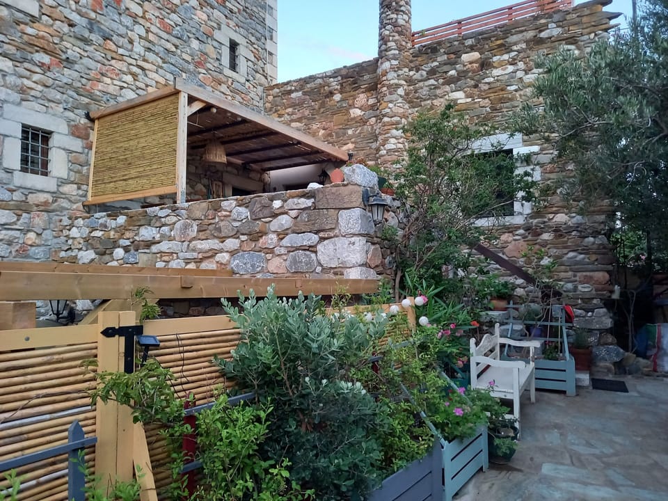 Back view of house