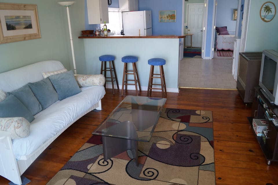 Living room - large comfortable futon