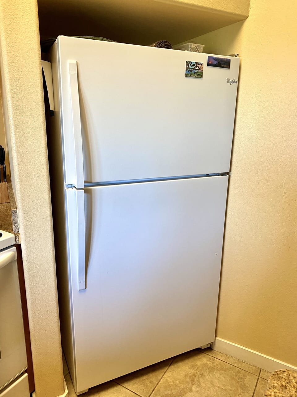 Full Size Refrigerator and Freezer.