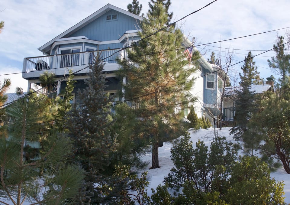 Southern view from bottom of property