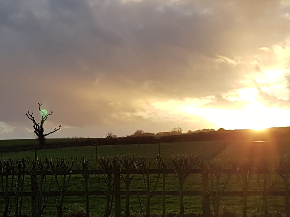View of 2nd paddock taken from 1st paddock.