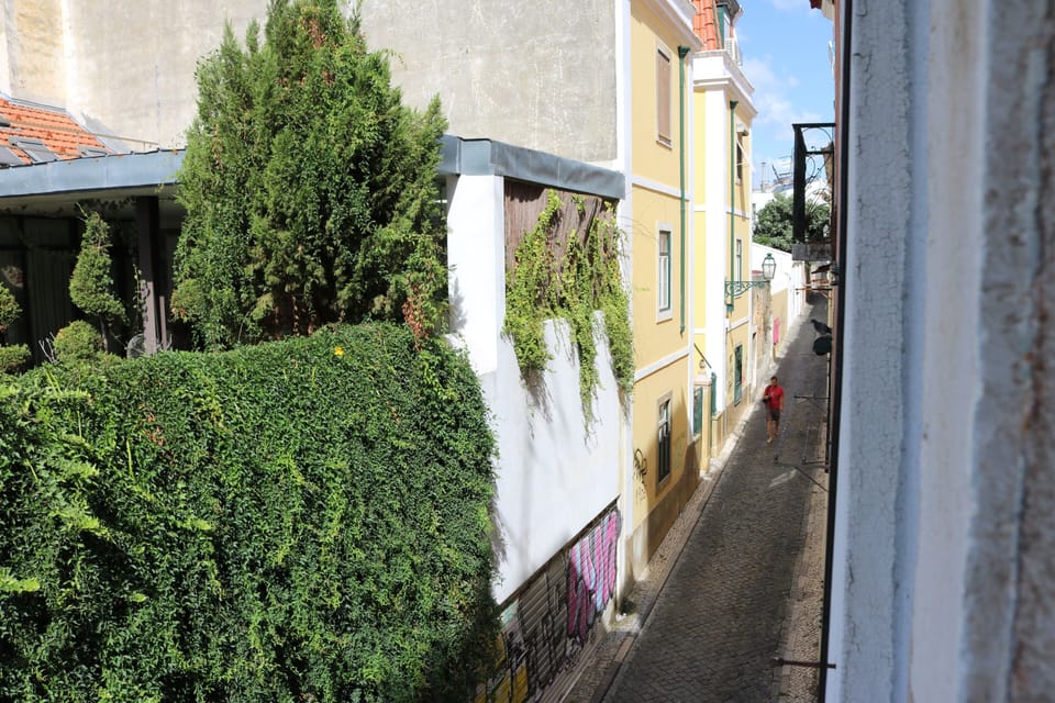You will enjoy the typical street, very Lisboan...