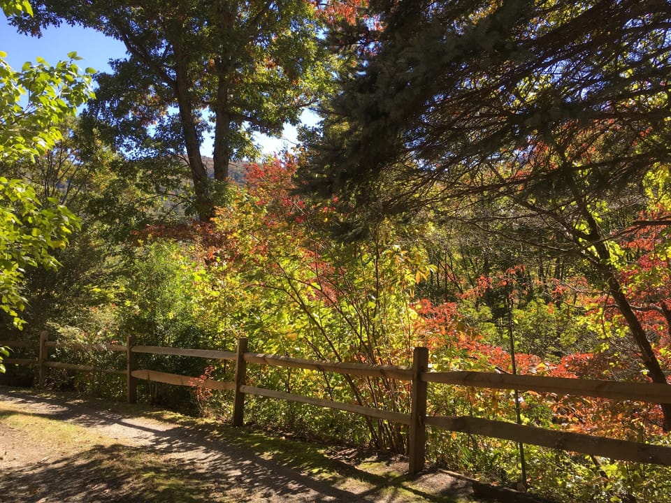 Private and Serene Wooded Location.