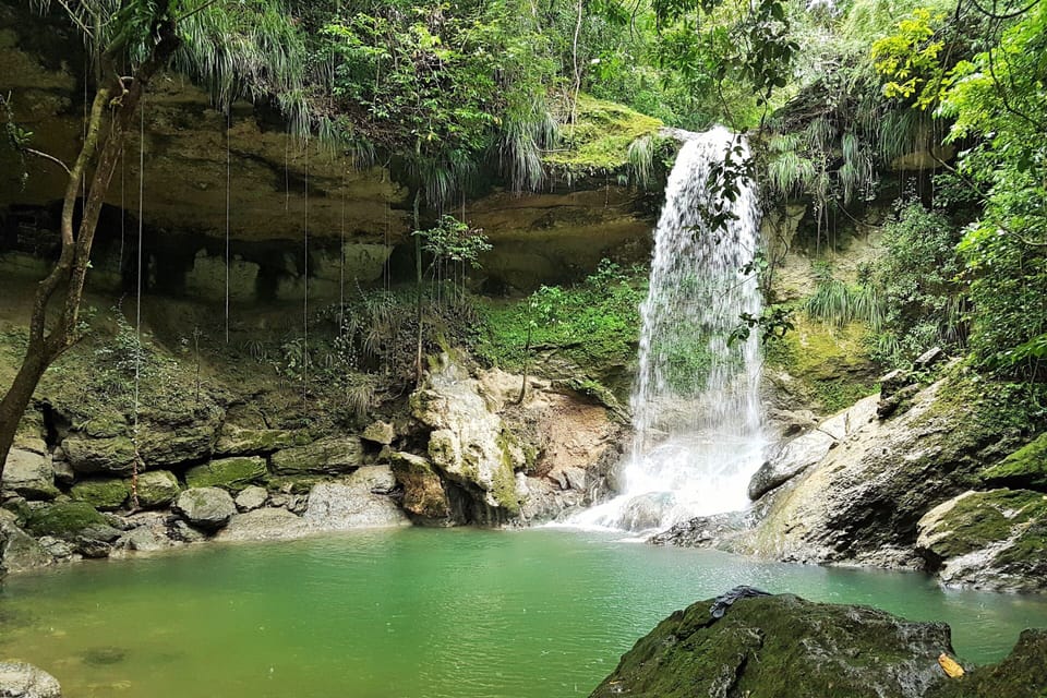Gozalandia, San Sebastían