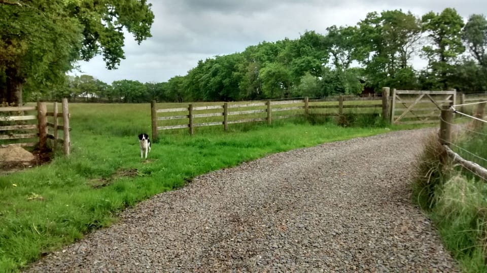 all three lodges share an access track