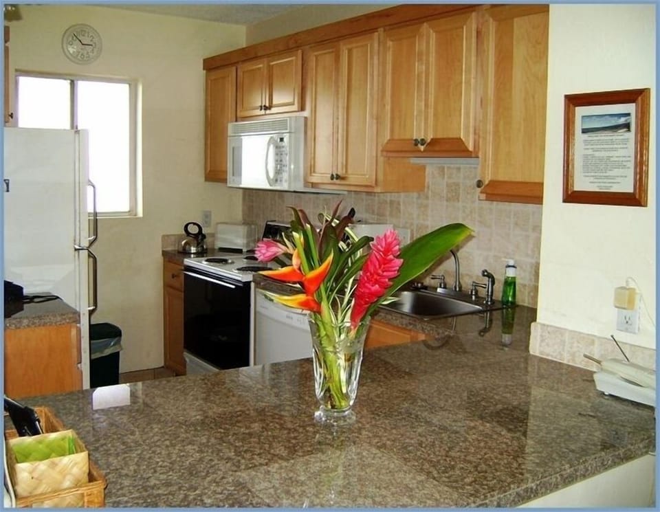 Kitchen at the condo