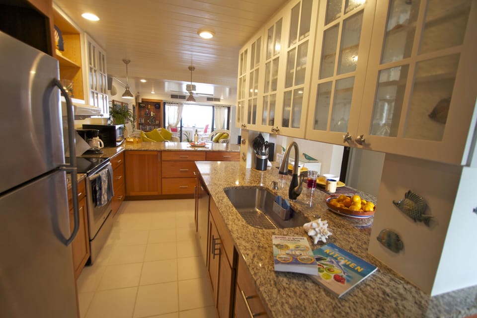 Beautiful new kitchen - opens directly to our stunning view of sand and ocean