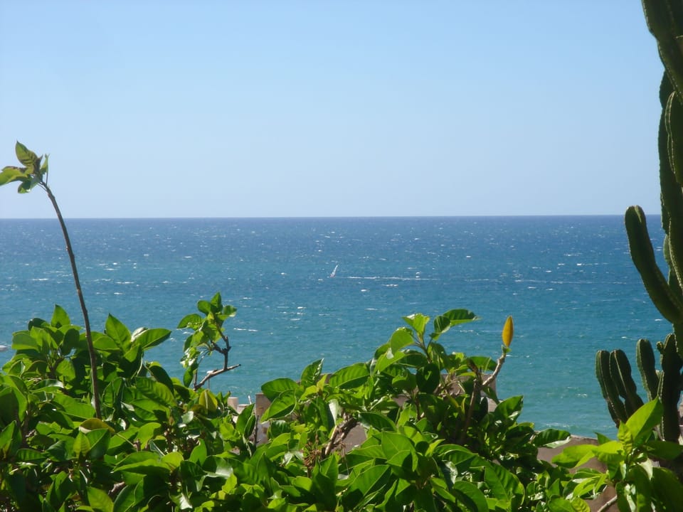 Beach/ocean view