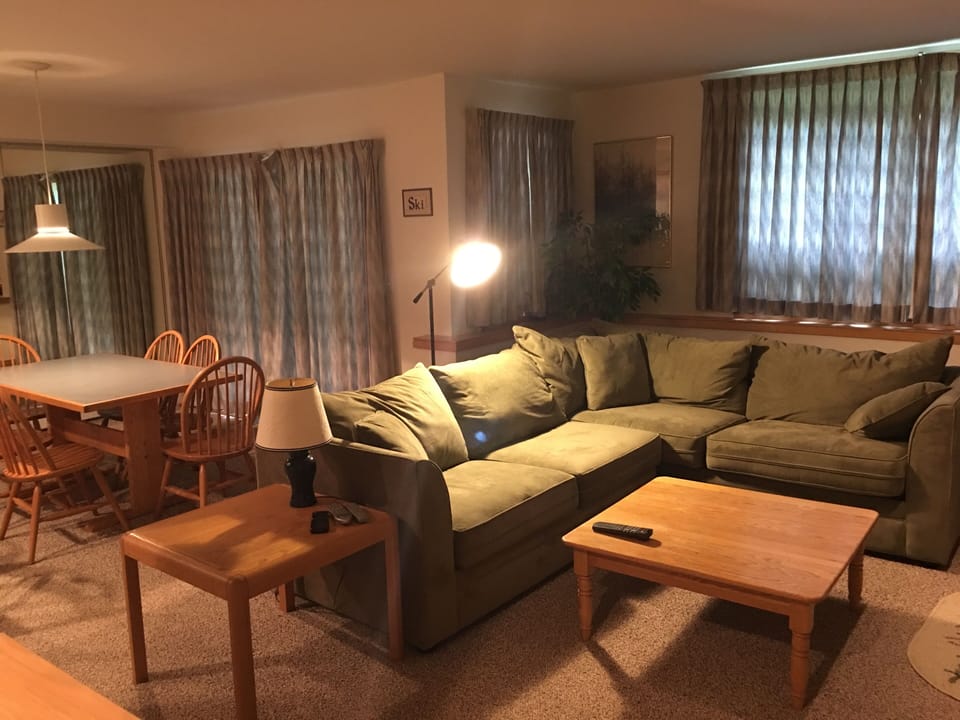 Living Room and pullout bed
